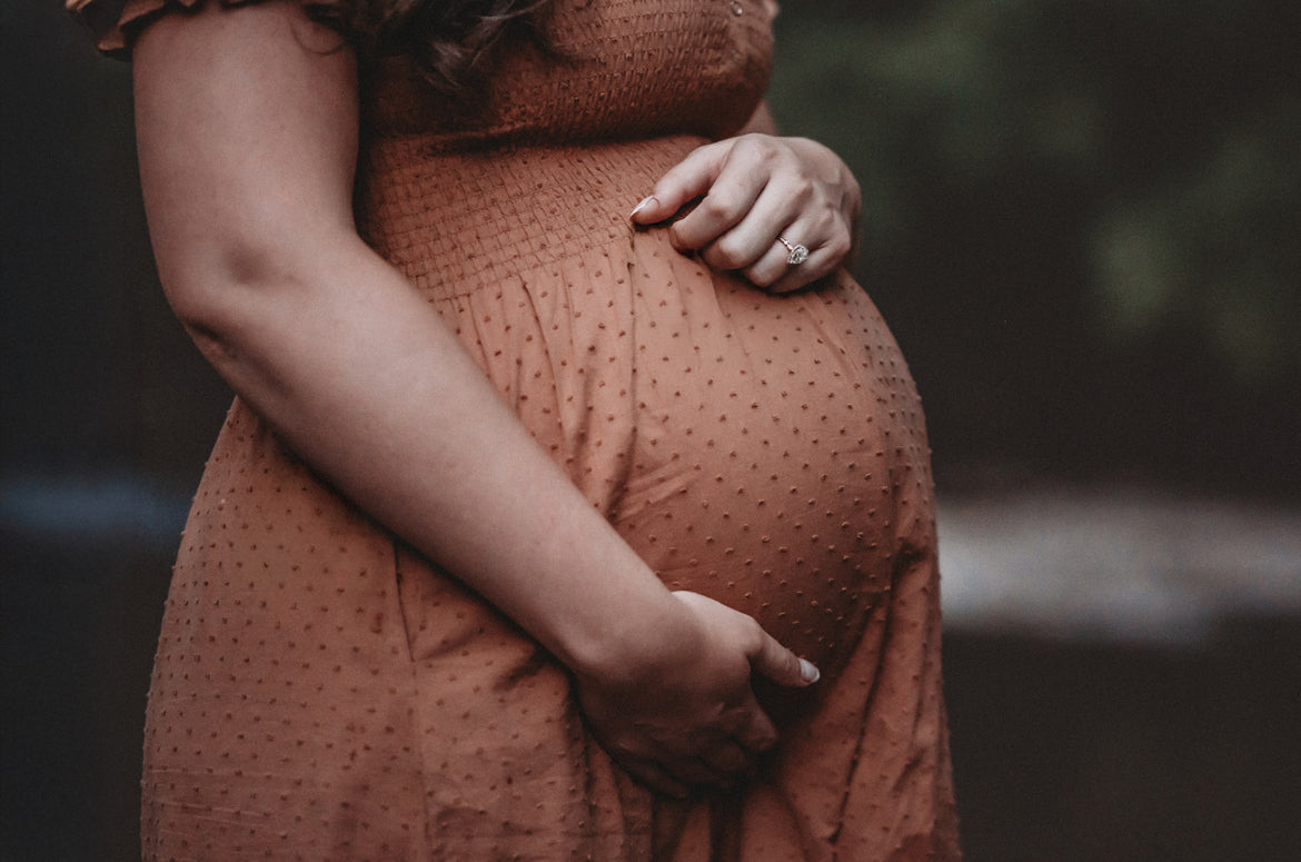 Harper Maternity and Nursing Dress