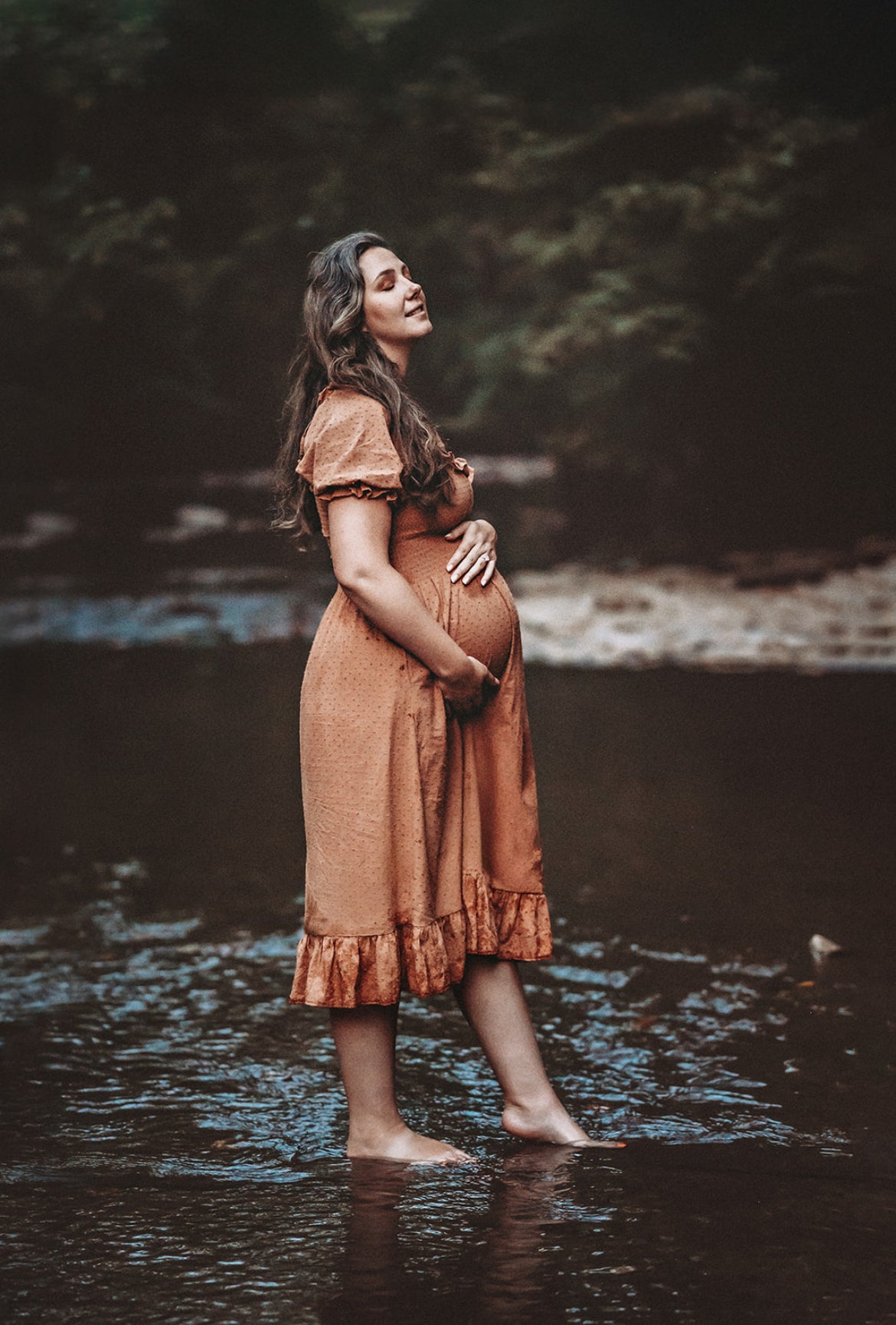 Harper Maternity and Nursing Dress