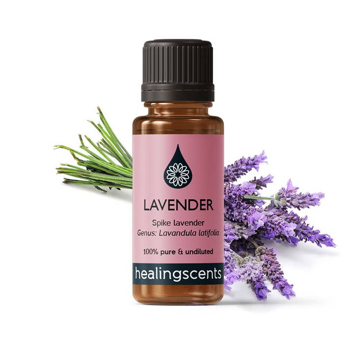 Lavender Spike Essential Oil | 10ml